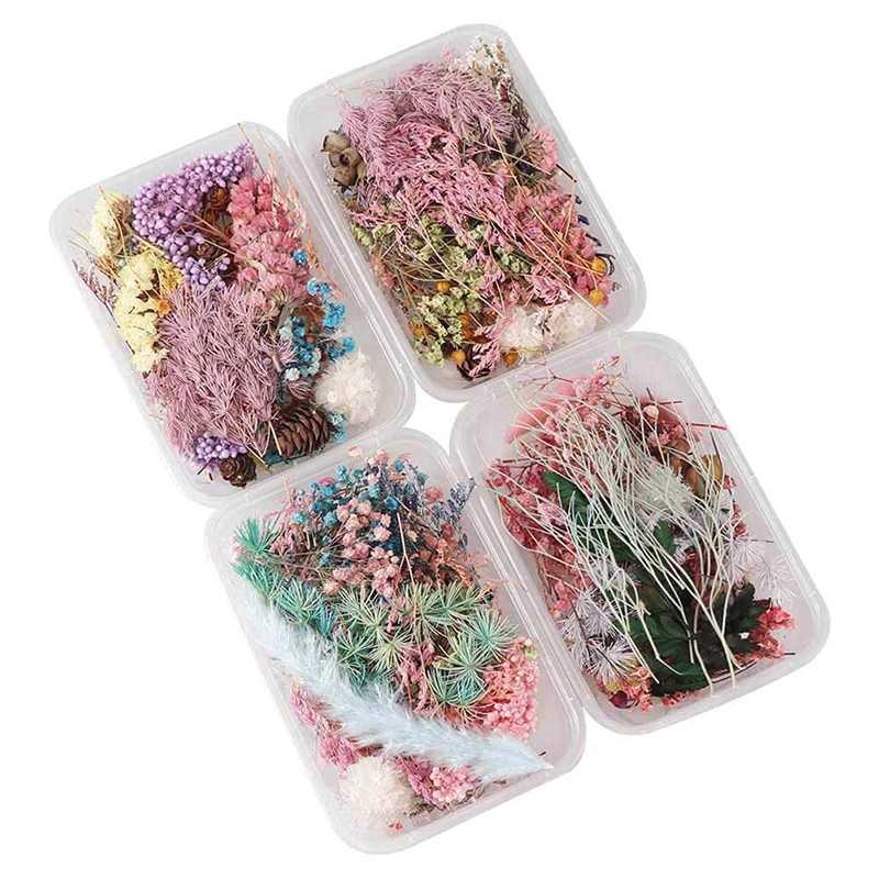 

New 1 Box Dried Flower Dry Plants For Aromatherapy Candle Epoxy Resin Pendant Necklace Jewelry Making Craft DIY Accessories