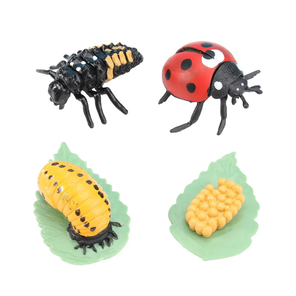 

1 Set of Simulation Evolution Model Model Party Decorations for Kids