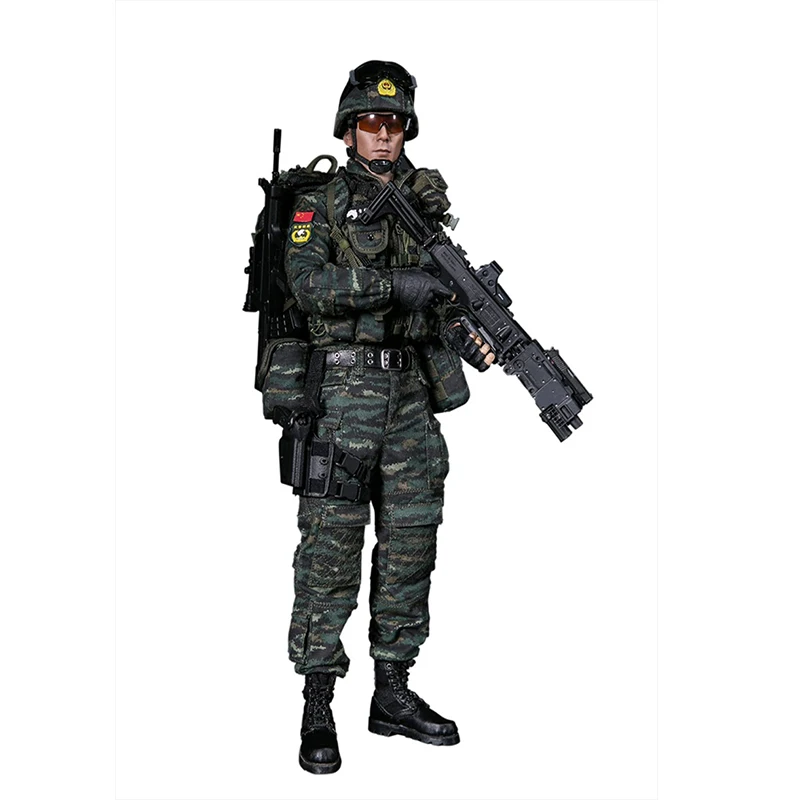 

Damtoys 78053 1/6 Military Figure Chinese Armed Police Snow Leopard Commando 12" Action Figure Toy