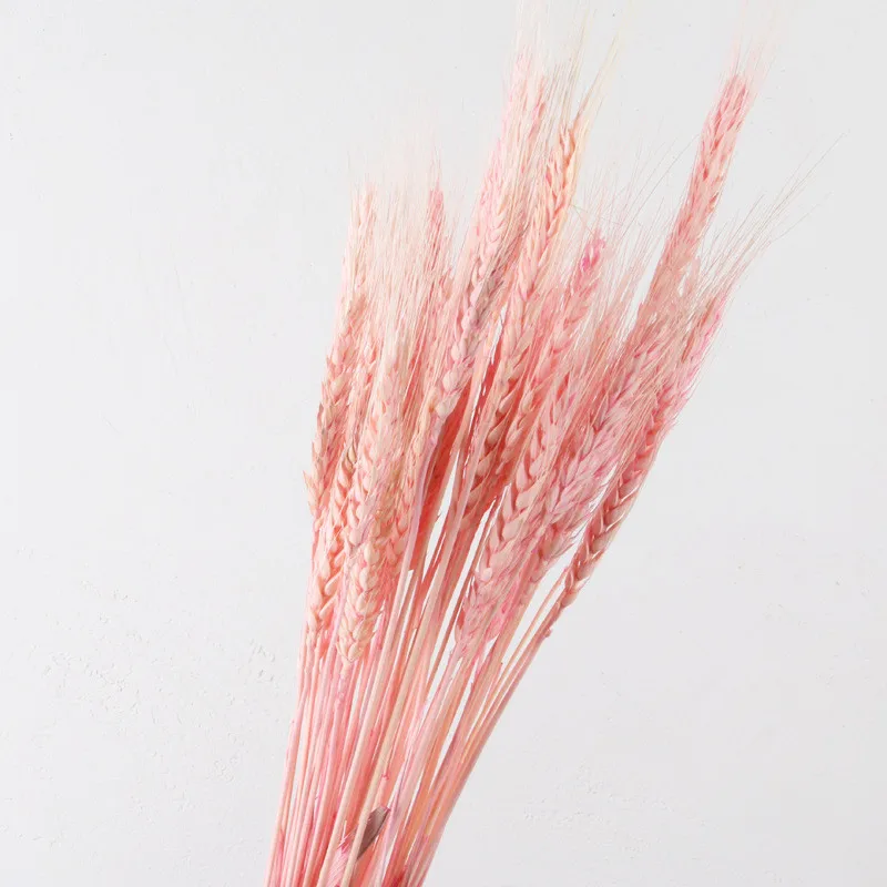 50 шт./лот натуральный цветок пшеничных ушей Натуральные сушеные цветы для