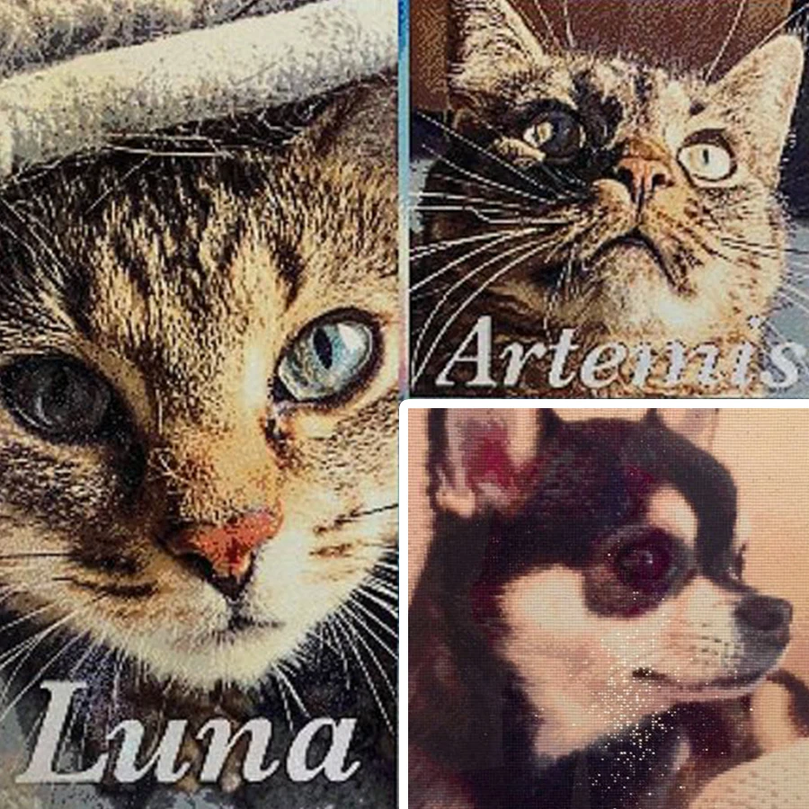 Новинка алмазная картина вышивка крестом рукоделие волка стразы Алмазная