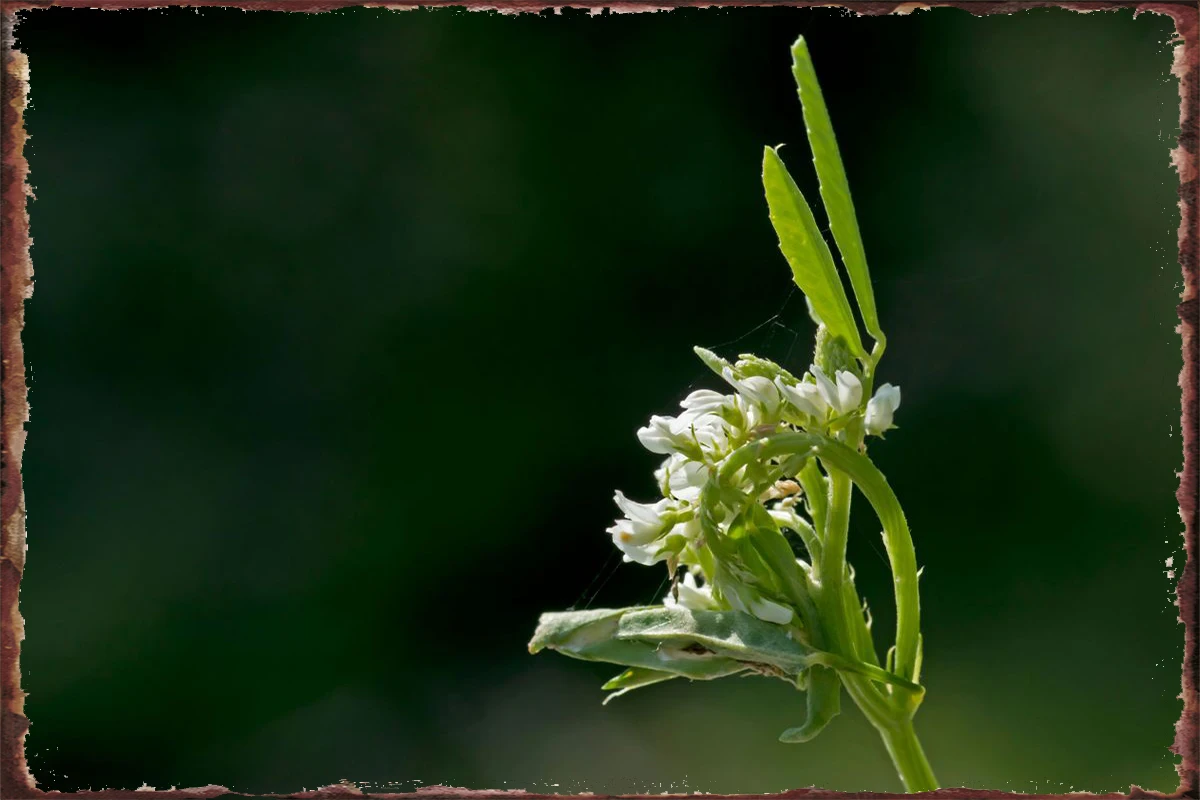 

Unique wildflower Tin Sign Tin Plates Wall Decor Room Decoration Retro Vintage Metal Sign For Art Man Cave Cafe Pub Home Club