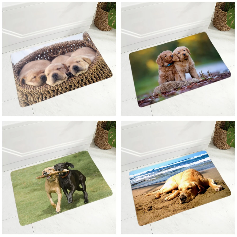 

Cute Labrador Floor Door Mat Decor Pet Dog Animal Doormat Non-Slip Soft Flannel 40x60cm Rug for Hallway Kitchen Room Carpet