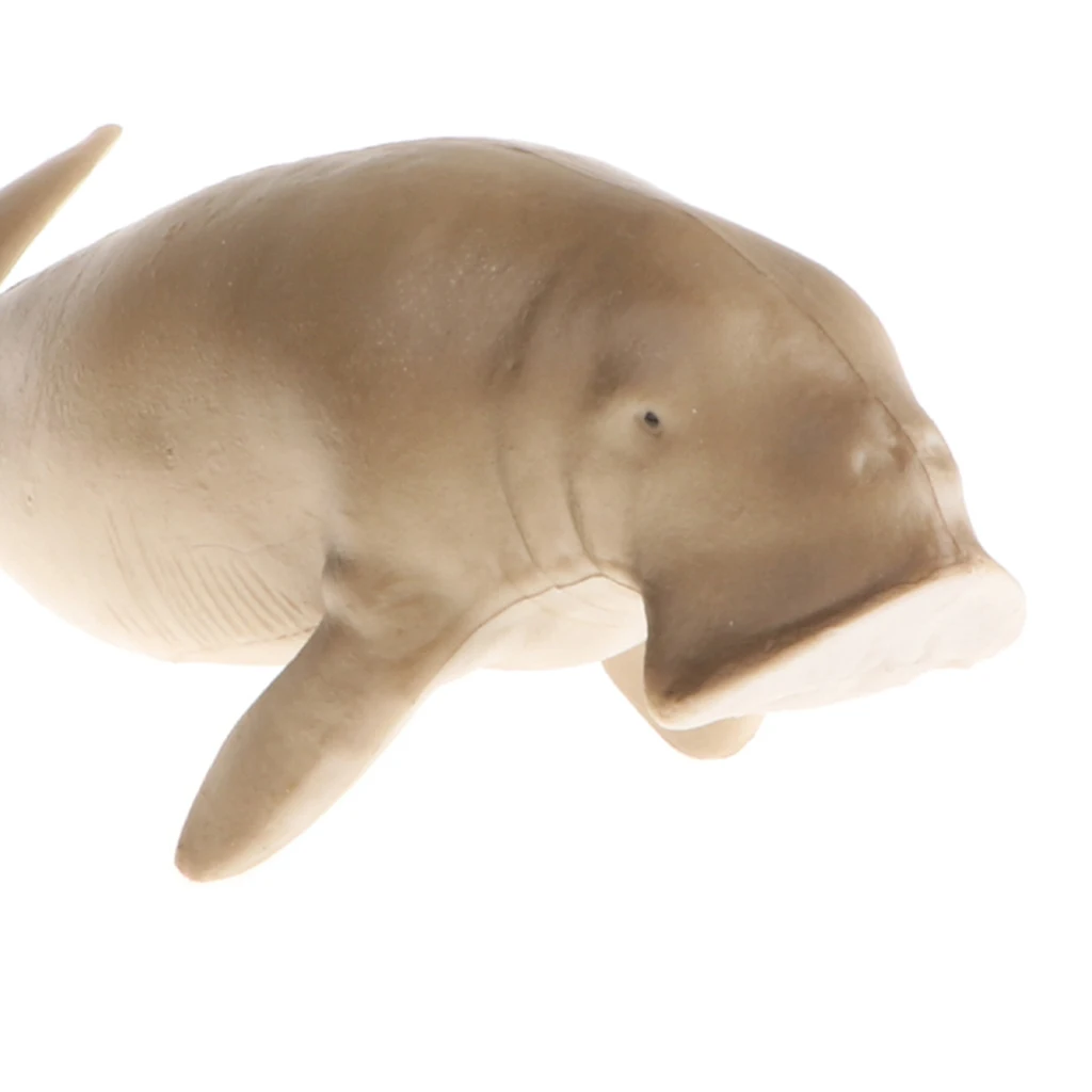 

Realistic Marine Animal Model Figurines, 5.6 Inch Manatee g Action Figure Toy for Kids, Nature Educational Toy