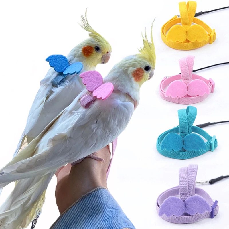 

Parrot Harness and Leash Set Adjustable Outdoor Flying Training Rope With Wing for Small Medium Birds Cockatiel, Macaw, Budgie
