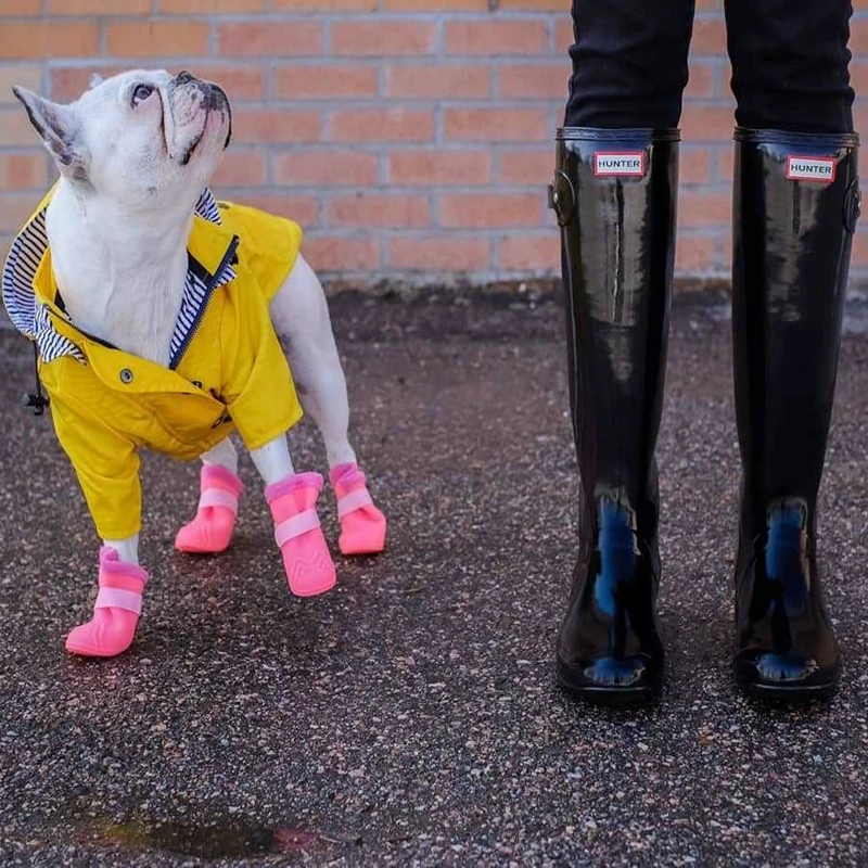 Дождевик для собак на молнии светоотражающая Водонепроницаемая Регулируемая