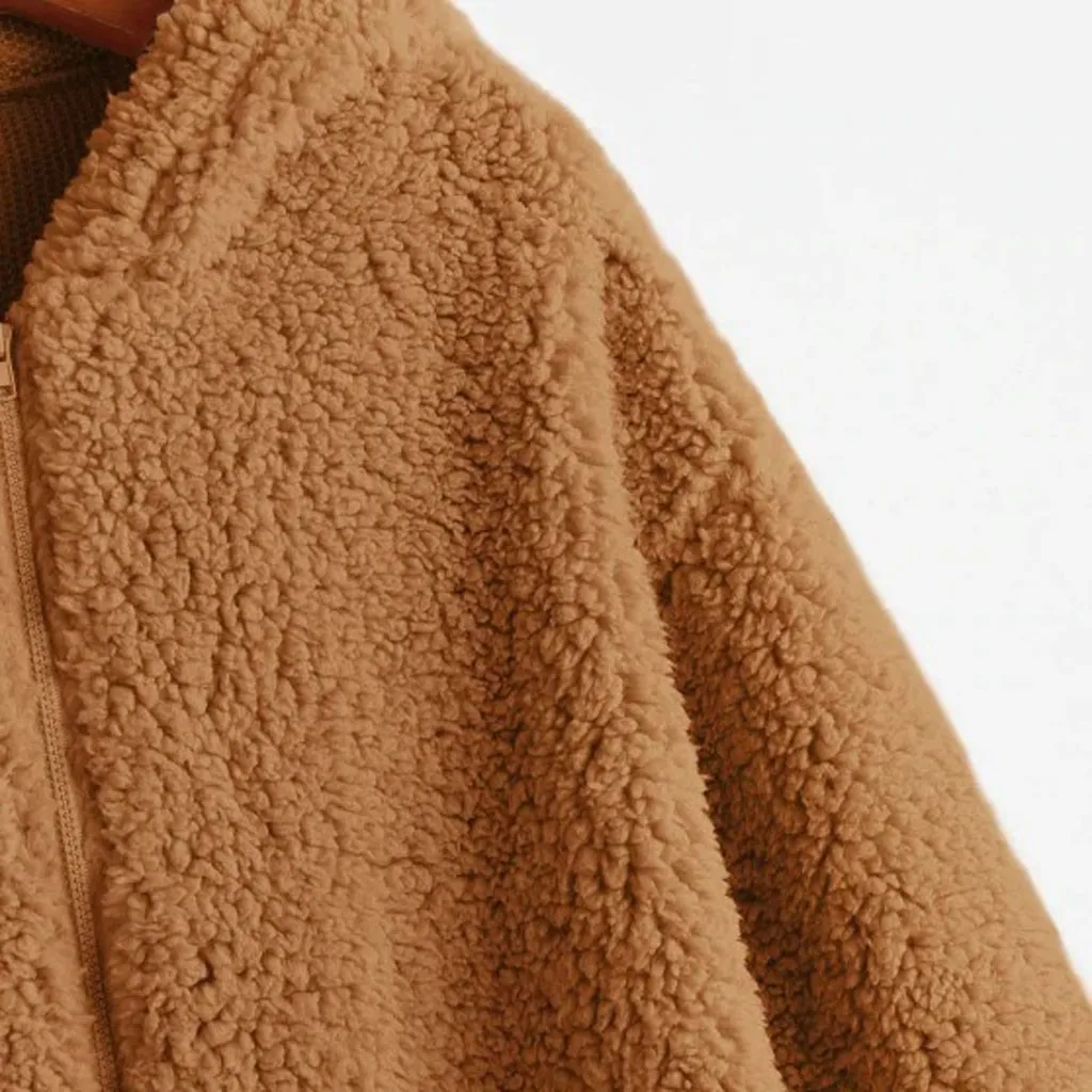 Hoodies Women Plush Coat Autumn Winter Warm Faux Lamb Fur Sweatshirts Long Sleeve Collar Zipper Solid Pullovers Tops 2021 | Женская