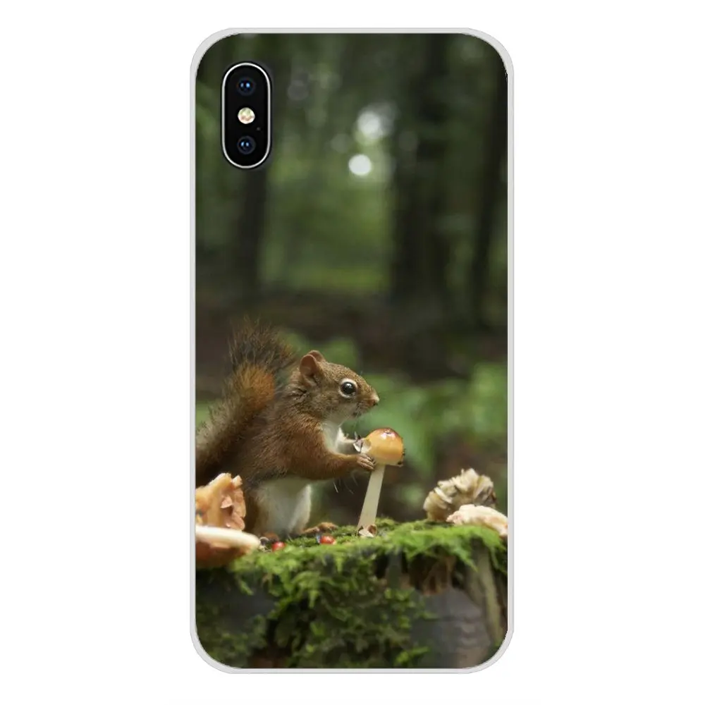 For LG G3 G4 Mini G5 G6 G7 Q6 Q7 Q8 Q9 V10 V20 V30 X Power 2 3 K10 K4 K8 2017 Case Cover squirrel Guinea Pig Mouse peanut greedy | Мобильные