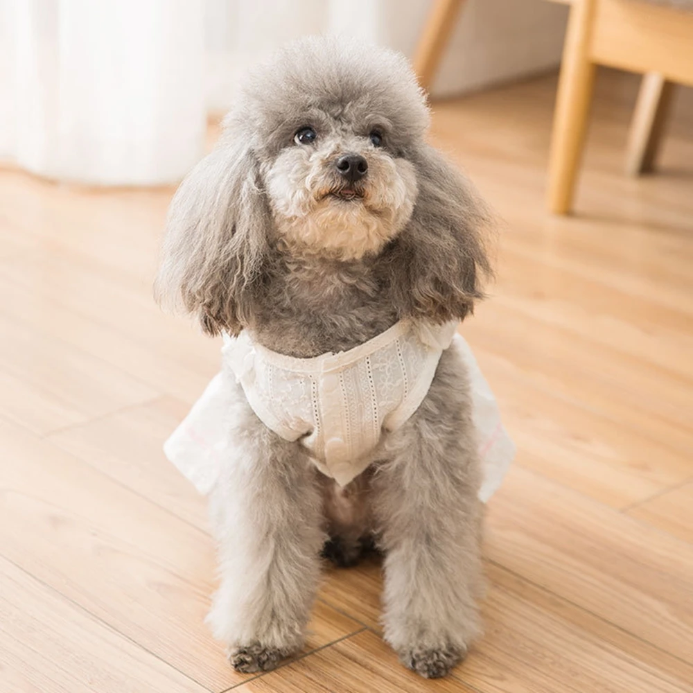 Платье принцессы с рисунком маленькой маргаритки одежда для собак пальто собаки