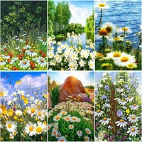 ruopoty acrylic painting by numbers for adults with frame daisy landscape wall art picture by numbers for diy gift 60x75cm