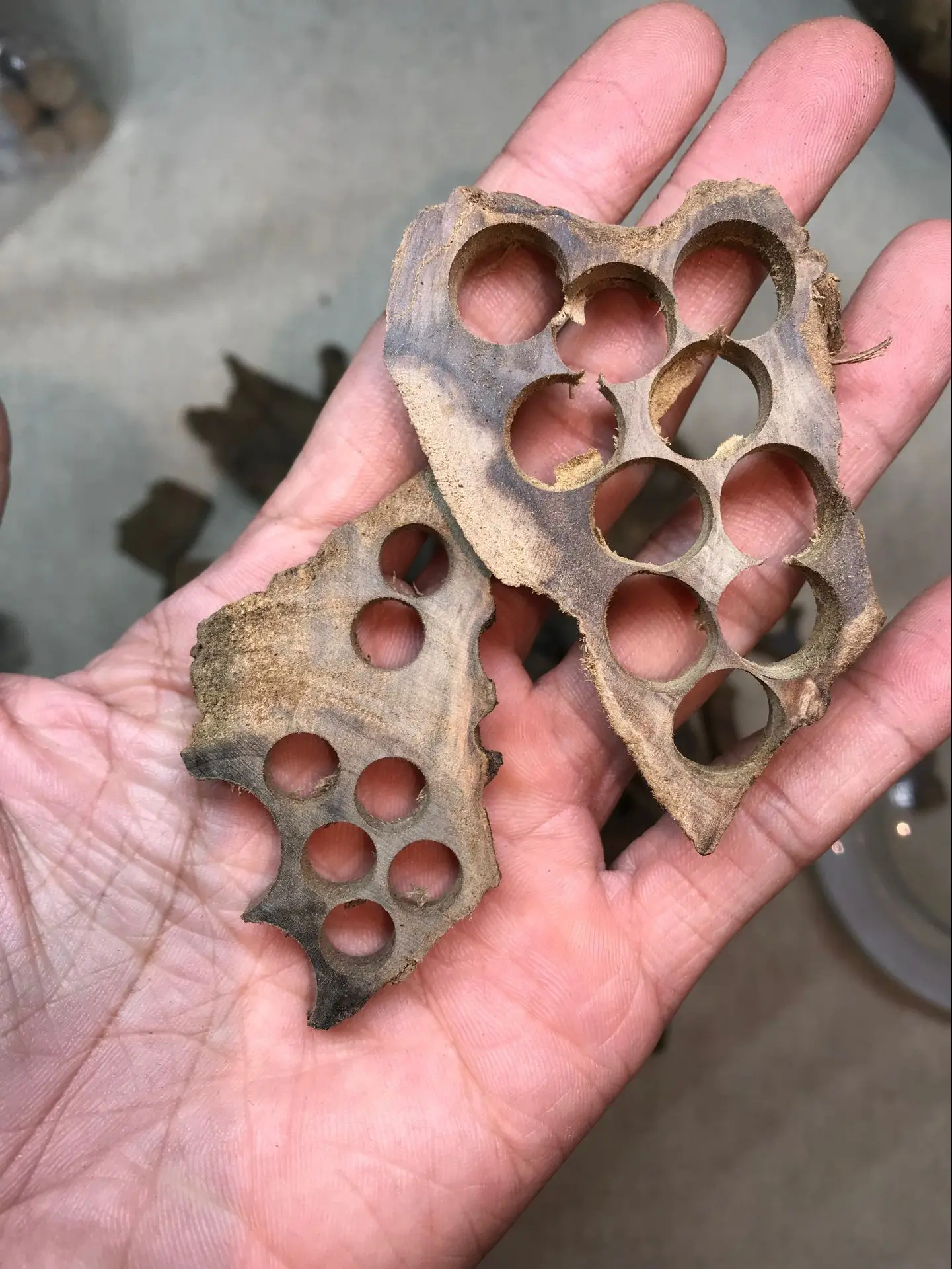 1 рулон (около 10 граммов) Индийская фотолампа|Упаковка и стойки для украшений| |