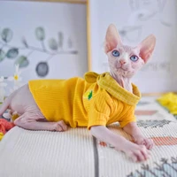 cute pineapple summer hairless cat apparel naked cat fashion sphinx kitty wearing comfort sphynx cat clothes