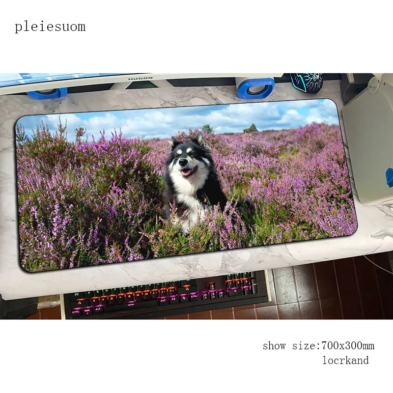 

Dogs pad mouse New arrival computer gamer mouse pad thick padmouse big 900x400mm mousepad ergonomic gadget office desk mats
