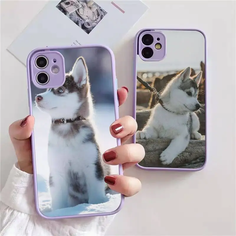 

Animal Husky cute Puppy Dog Phone Case For iphone 13 12 11 xr xs x 7 8 pro max light purple Soft TPU Silicone Clear Case Cover