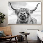 Черная и белая яка, корова, дикая картина с рисунком животных, постеры и принты, Настенная картина Cuadros для декора гостиной