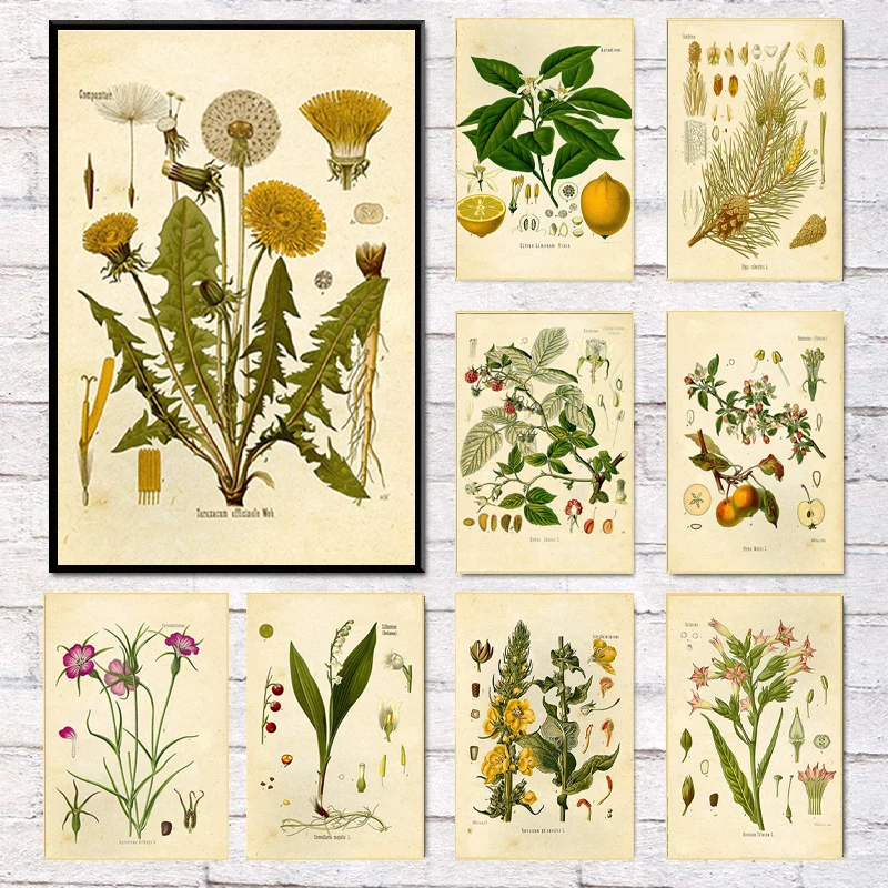 Винтажный постер с дикими растениями ботанический цветок обучение гостиная