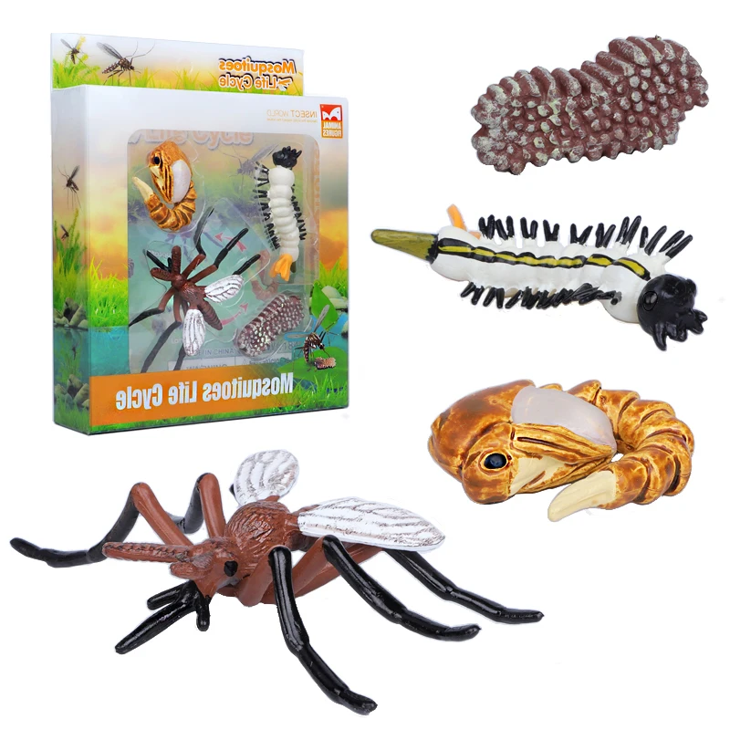 Имитация насекомых-лягушек жизненный цикл комаров модель черепахи муравьев