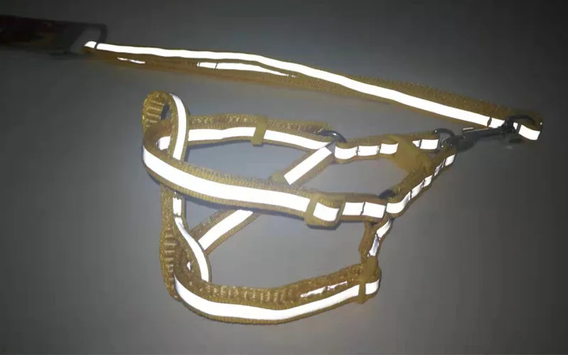 

Night Reflective Leash and Harness Nylon Braided Leash Adjustable Harness for Small Dogs dog harness dogs accessoires