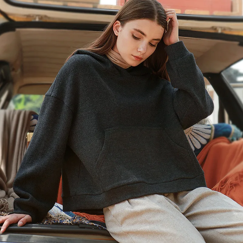

2021 Warm Autumn Women Hoodies Oversize Loose Solid Thicken Fashion Harajuku Female Sweatshirts Y19DSA0726Y