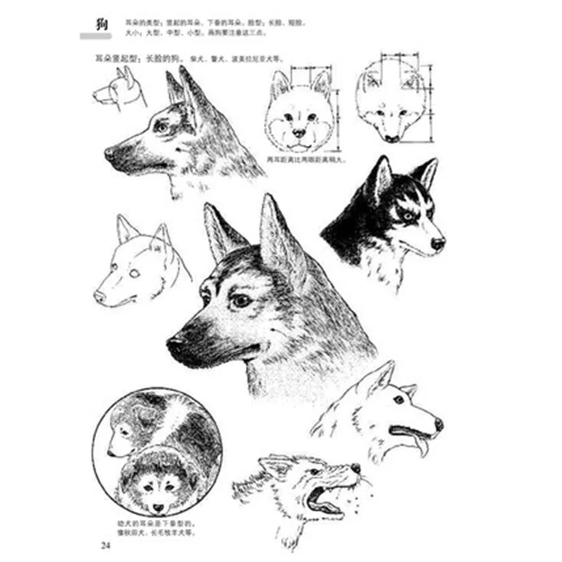 Zero basics Рисование комиксов эскиз техника аниме ручная роспись книга запись