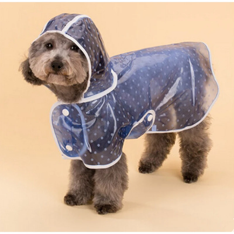 Новинка Милый узор в горошек дизайн Pet зонт от солнца одежда розового и голубого