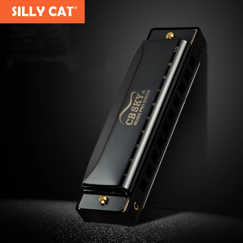 Diatonic Blues Harmonica Harp 10 отверстий Melodica Key C Популярная Рок кантри народная джазовая