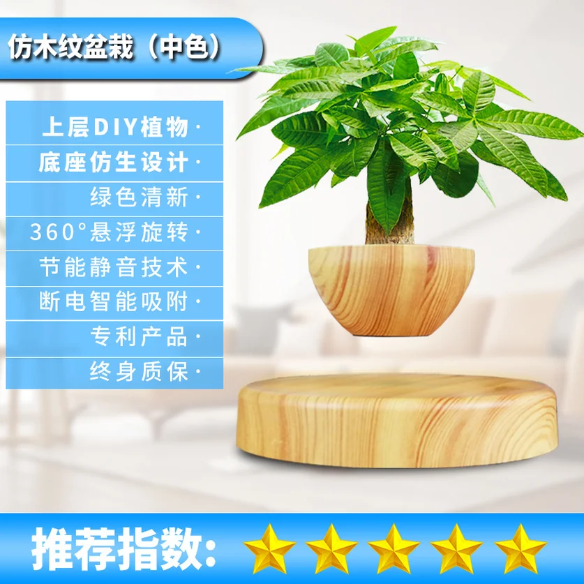 Левитирующий воздушный бонсай горшок-магнитной левитации Плавающий подвесной