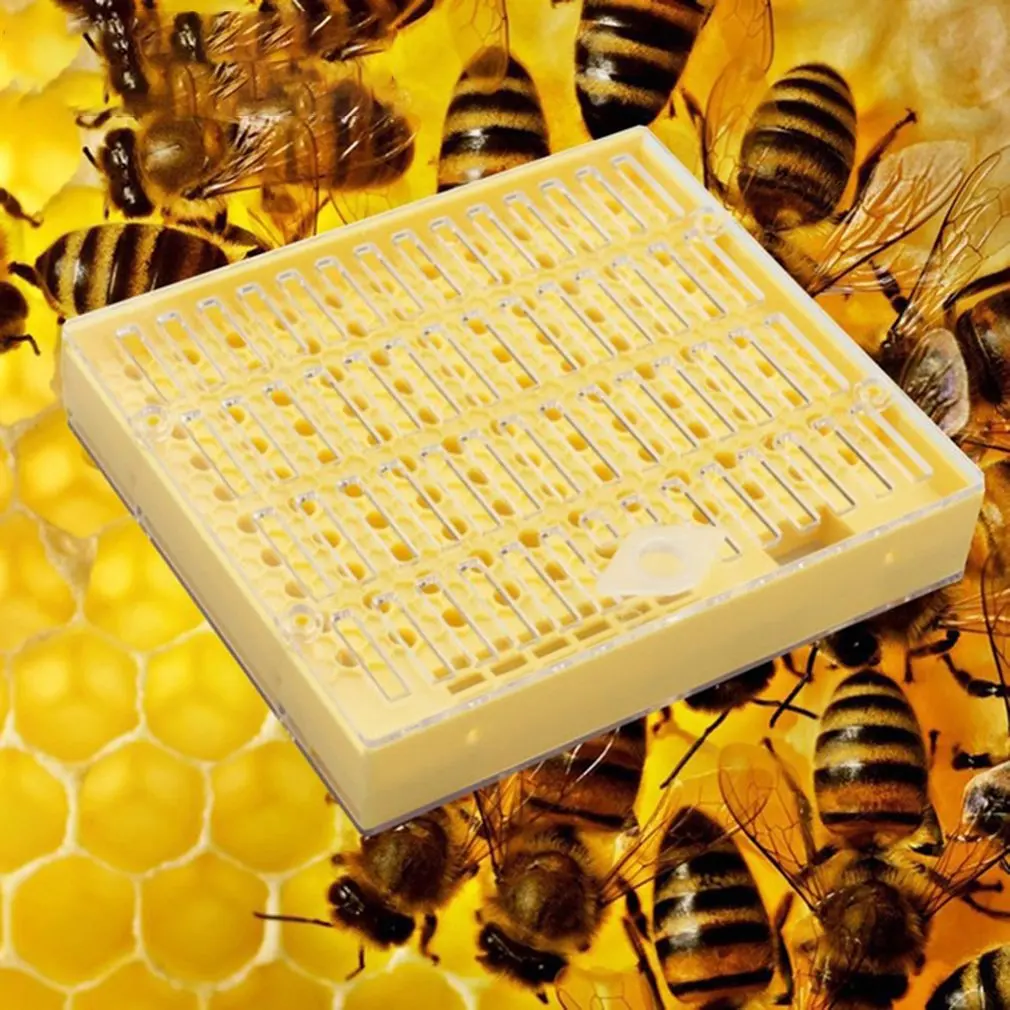 Пластик пчелы queen коробка для выращивания развивать пчеловодства Пчеловодство