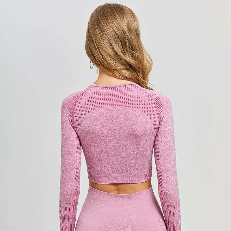Женская Спортивная футболка бесшовный топ с длинным рукавом для йоги фитнеса