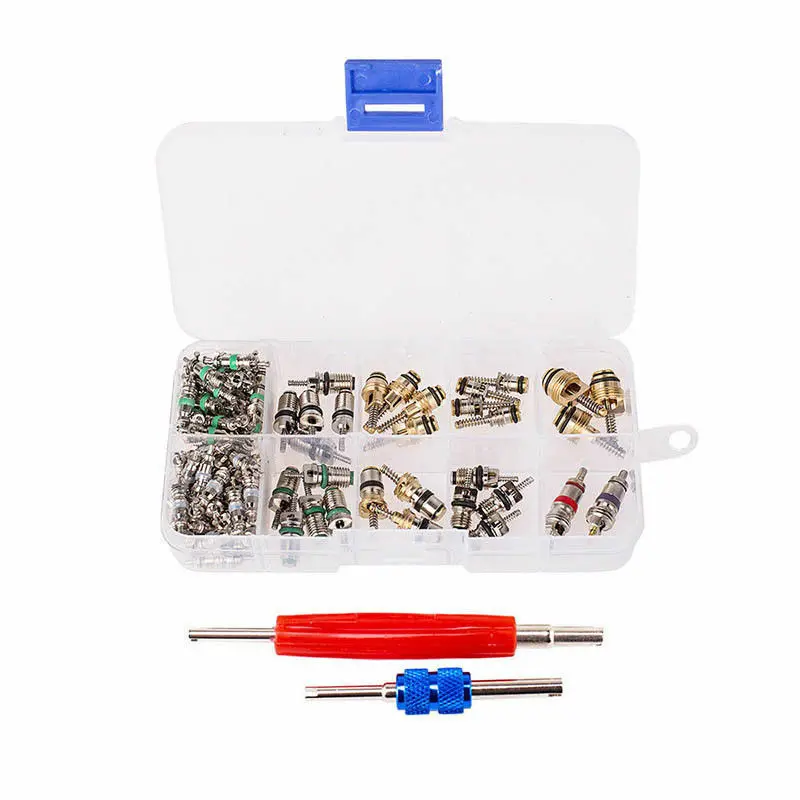 

102pc Car R134a/R12 A/C Air Schrader Valve Core & Remover Tool Kit 1/4" 5/16" US