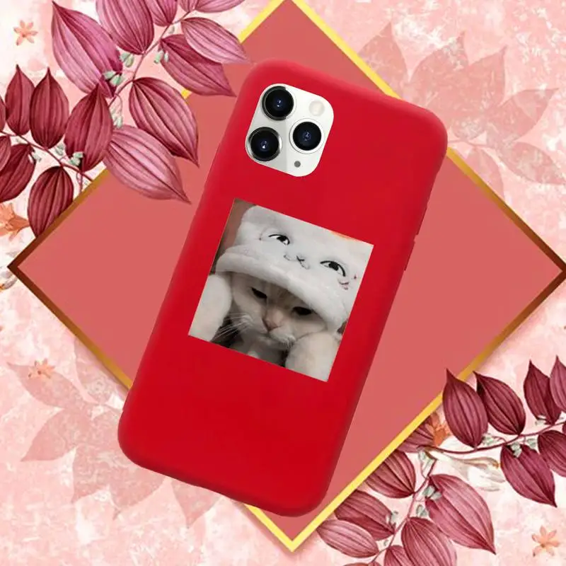 

Cute Cats New Year Gifts Phone Case Red Candy Color for iPhone 11 12 mini pro XS MAX 8 7 6 6S Plus X SE 2020 XR