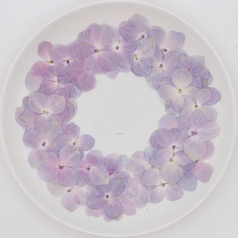 Гортензия оригинальный цвет прессованный цветок для DIY ручной работы материал 1