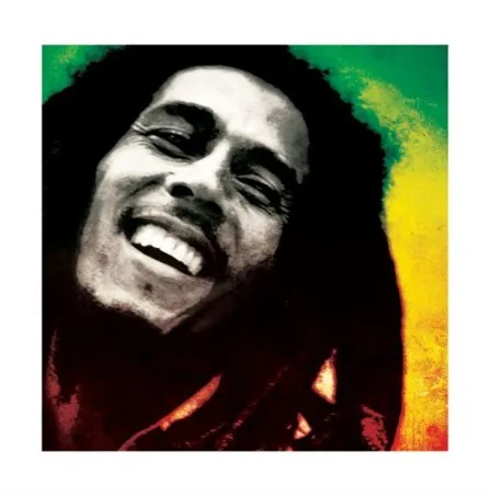 Раста цветов Bob Marley ямайского рэгги Винтаж Ретро плакат декоративный DIY настенная
