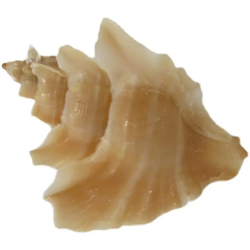 1 шт. Краб сменный корпус украшения рыбы в аквариуме пейзаж синтез натуральных