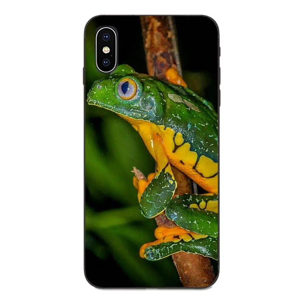 Амфибия Животные лягушка яд дротика для Galaxy C5 C7 J1 J2 J3 J330 J5 J6 J7 J730 M20 M30 Ace Core Max Мини Plus