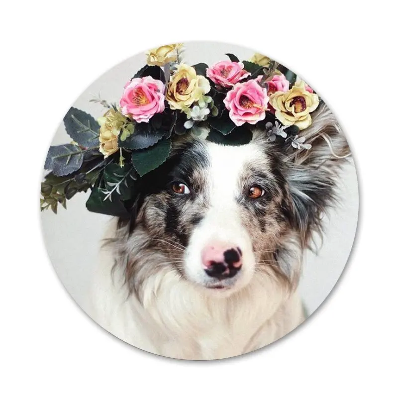 

Cute White Samoyed Icons Pins Badge Decoration Brooches Metal Badges For Backpack Decoration 58mm