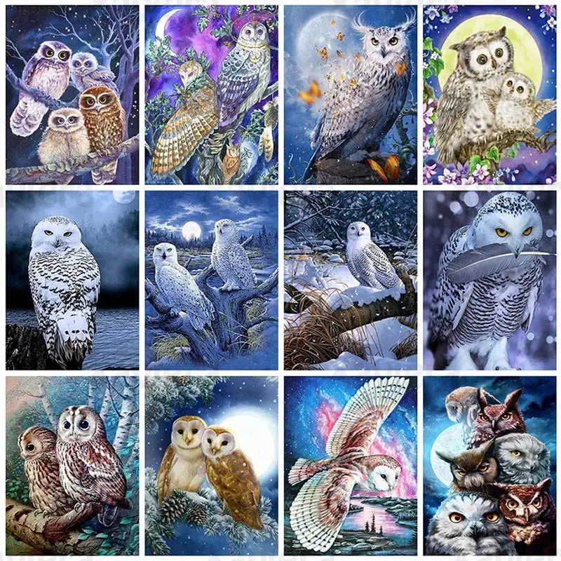 

5D DIY Diamond Embroidery Owl Full Square Round Drill Cross Stitch Kit Mosaic Rhinestone Animals Diamond Painting Handicrafts