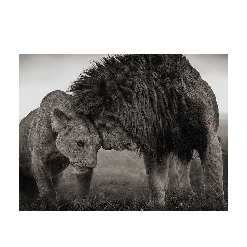 

Lions Head to Head Black and White Canvas Art Painting Posters and Prints Scandinavian Cuadros Wall Art Picture for Living Room