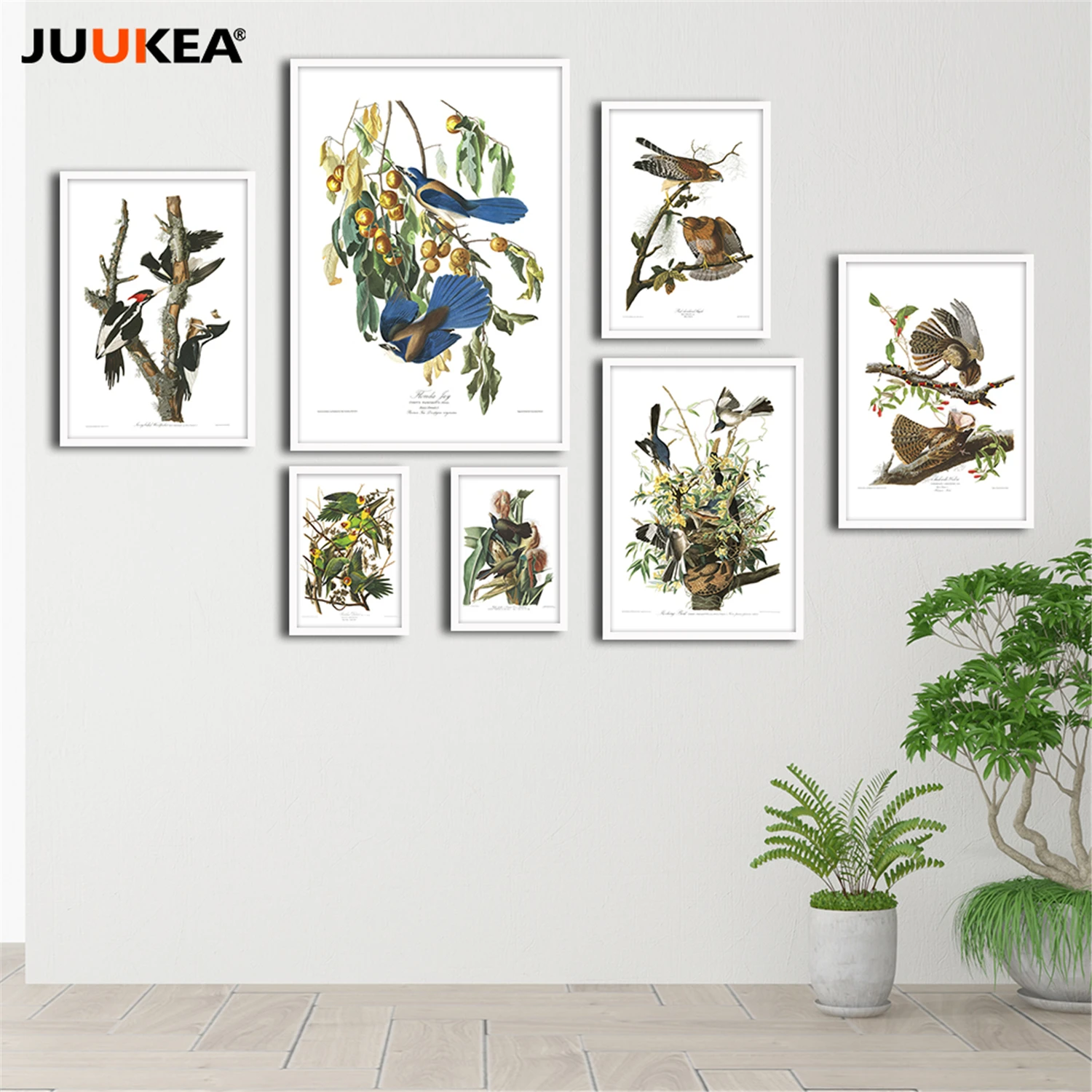 John James audubon Америка Товары для птиц коллекция HD высокое качество холст Книги по