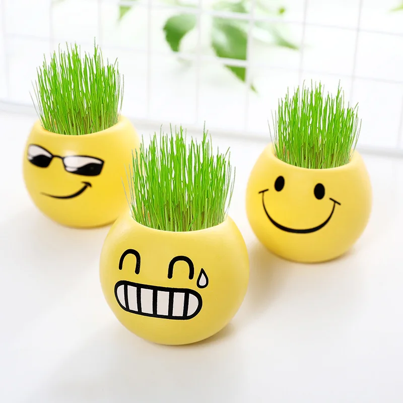 office decor Small grass potted children indoor balcony cute expression long head doll baby pot planters Vase flower |