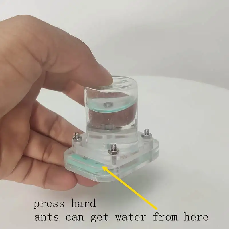 water feeder for ants acrylic with big capacity | Дом и сад