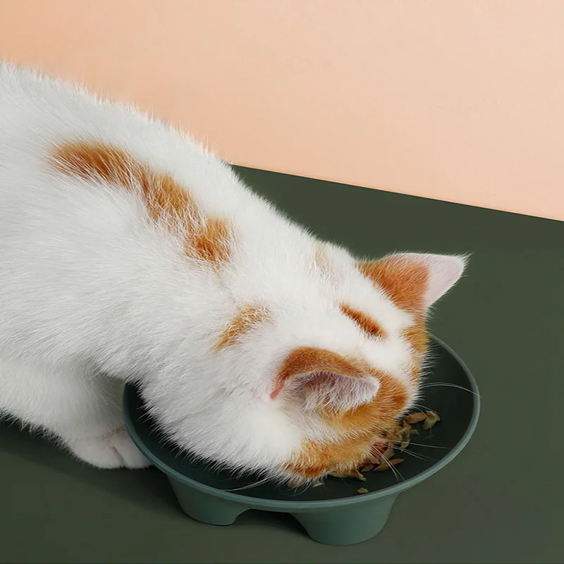 

Pet Bowl Inclined Mouth Protects Cervical Spine Feeding Drinking Melamine Material Non-Slip Anti Choking Puppy Cat Eating