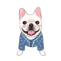 dog shirt pajamas print luxury brand logo french bulldog poodle teddy schnauzer dog costumes for small dogs dropshipping zy7018
