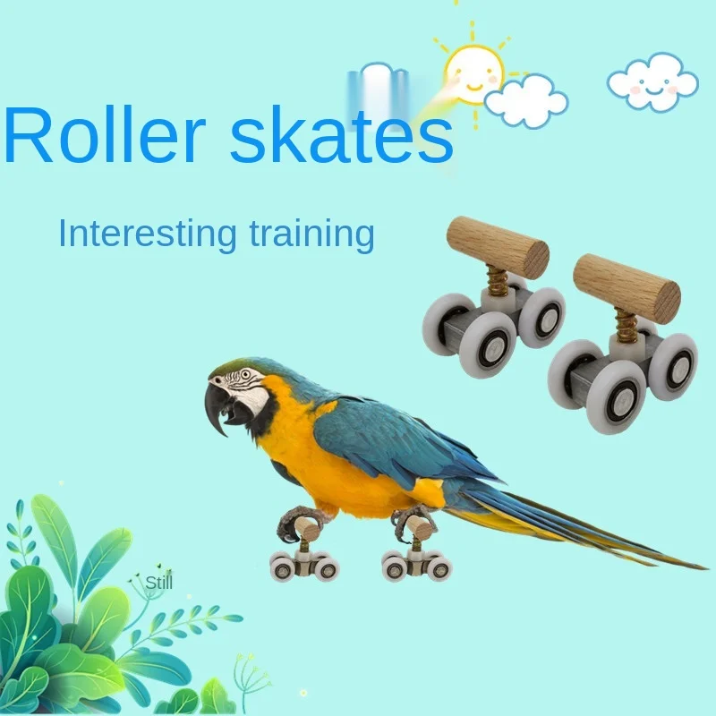 

Parrot Toys Training Equipment Mini Pulley Parrot Supplies Skates and Skateboards Bird Accessories Bird Playground