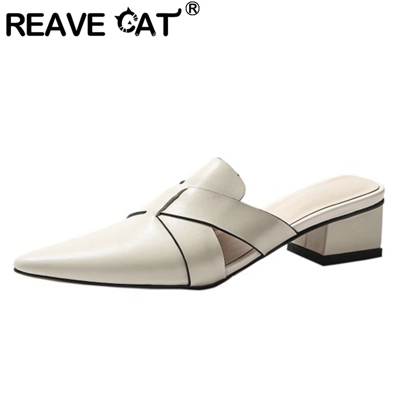 

REAVE CAT 2021 Slippers Half Heel Shoes Mules Patchwork Pointed Toe Slingbacks 3.5cm Chunky Heel US9 Green Beige Apricot A4326