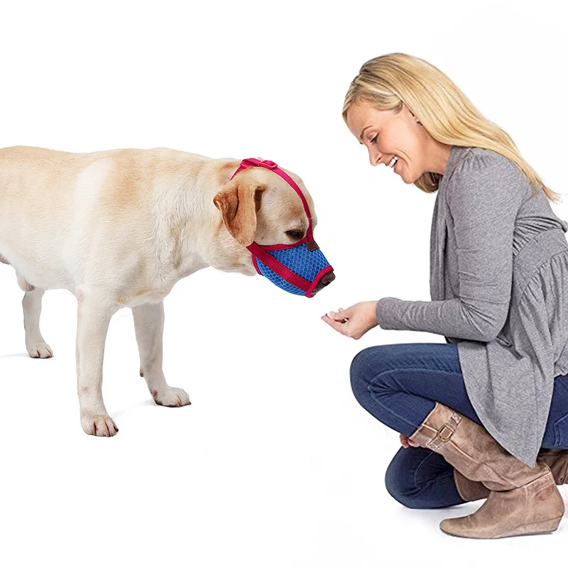 Для маленькой большой собаки музлы антиукус сетки дышащие намордник для