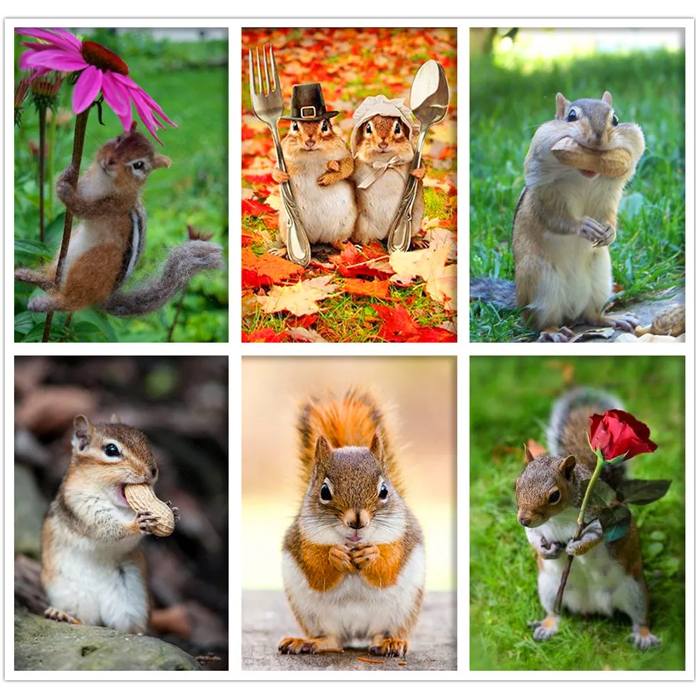 Круглая Алмазная 5D картина животное белка фотомозаика украшение для дома 30*40 см |