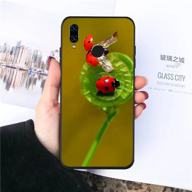 

ladybug cute animal Four leaf clover Phone Case For Huawei honor Mate P 10 20 30 40 Pro 10i 9 10 20 8 x Lite funda coque