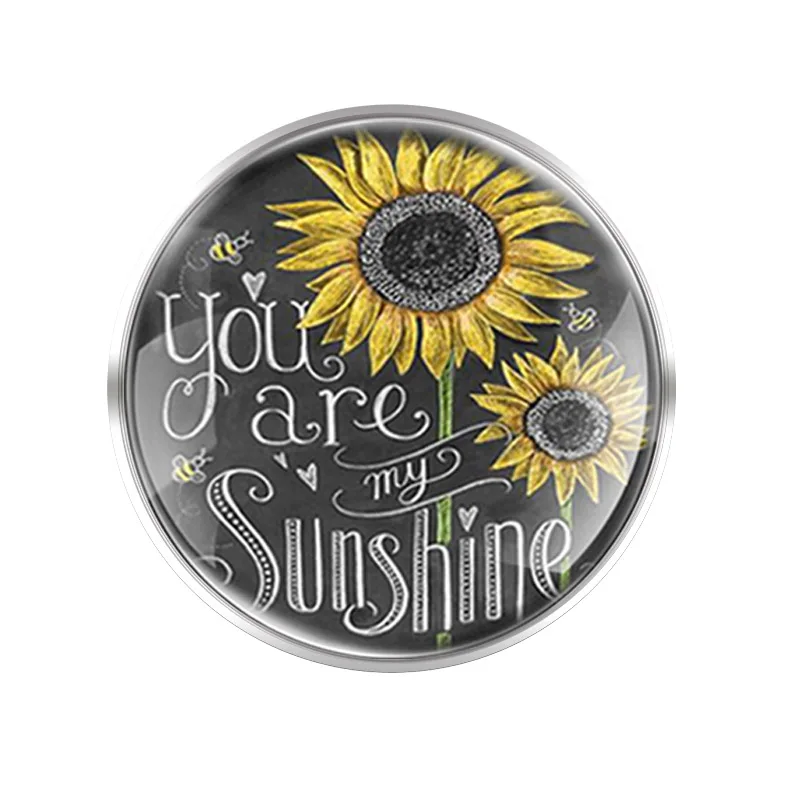 

2021 Women Brand Brooches Fashion Statement Metal Brooches Glass Convex Dome For Women ZA Jewelry