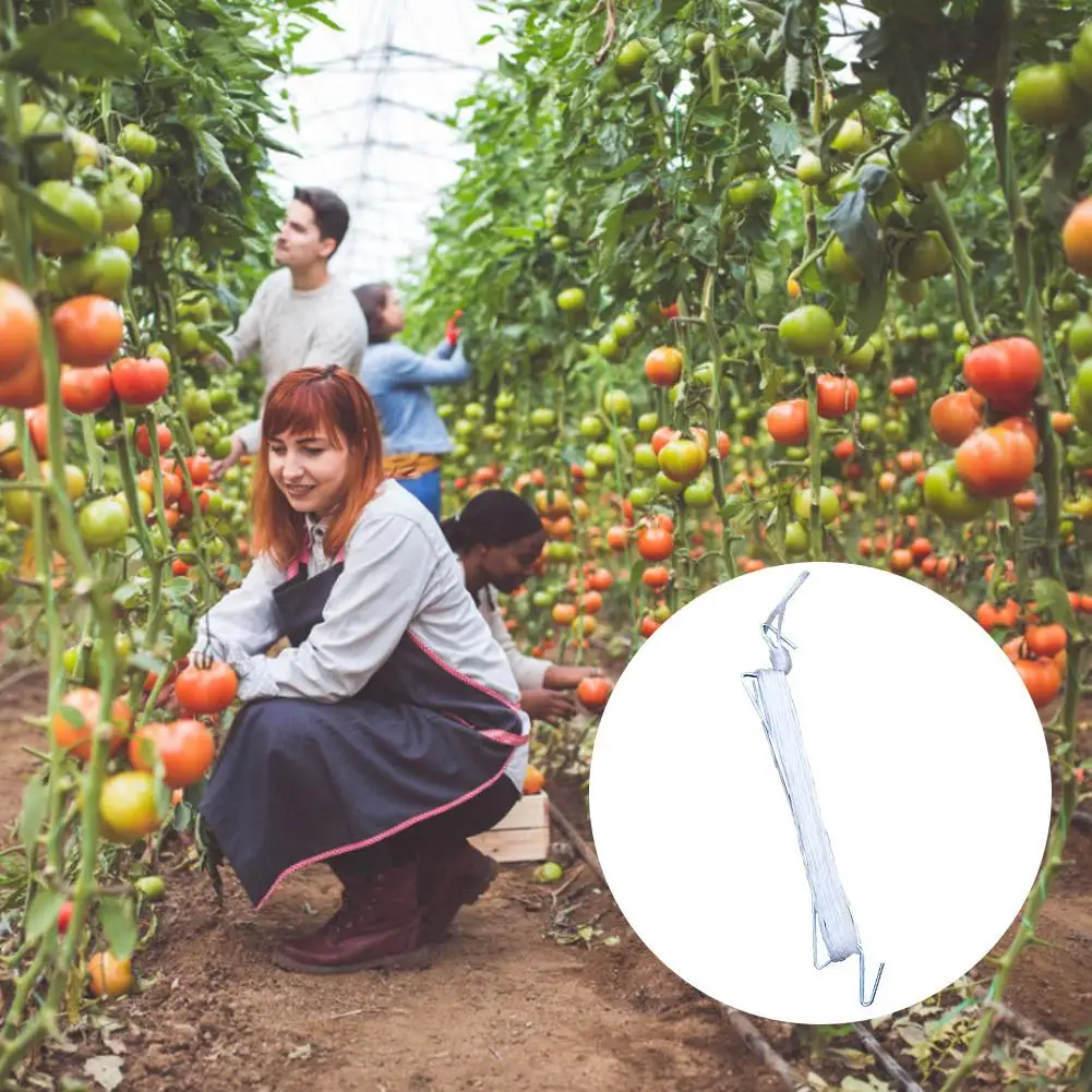 Крючок для выращивания томатов трос крючок растений товары посадки